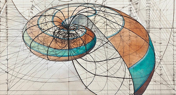 A Designer's Dream: A Golden Ratio Coloring Book