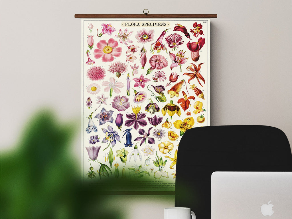 Cavallini Vintage School Chart - Flora Specimens