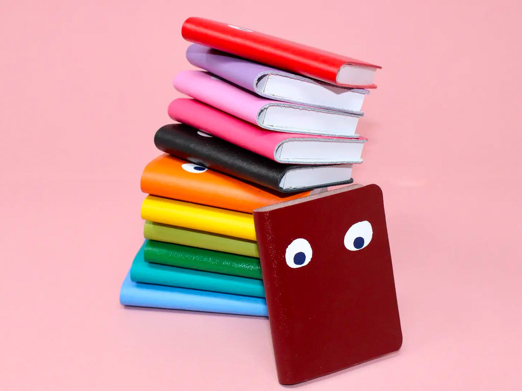 Googly Eye Mini Notebook