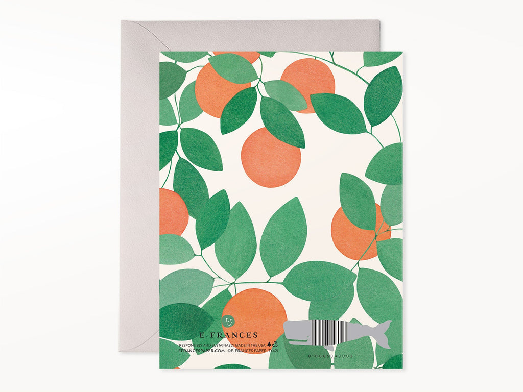 Orange Grove Thank You Cards Box of 6