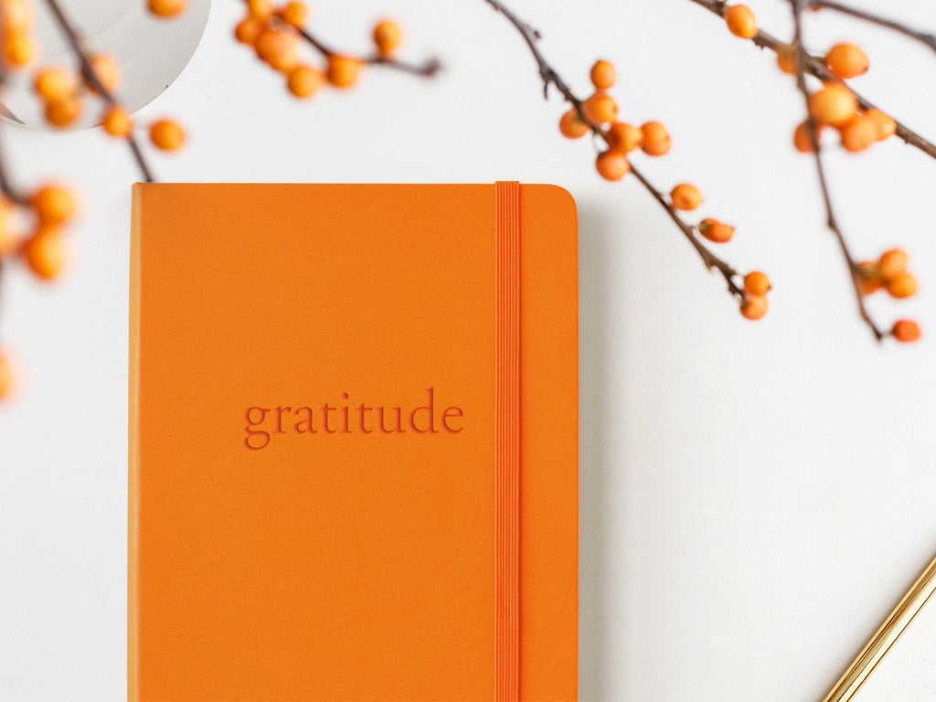 Moleskine Classic Hardcover Notebook - True Orange